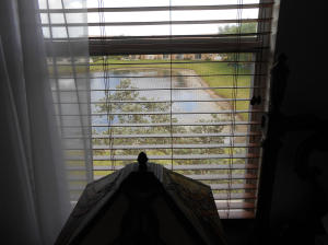 Sierra Palms - Residential Lease