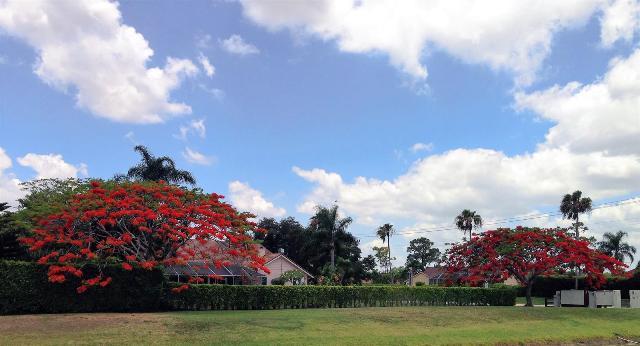 MEADOW WOOD OF THE LANDIN - Residential