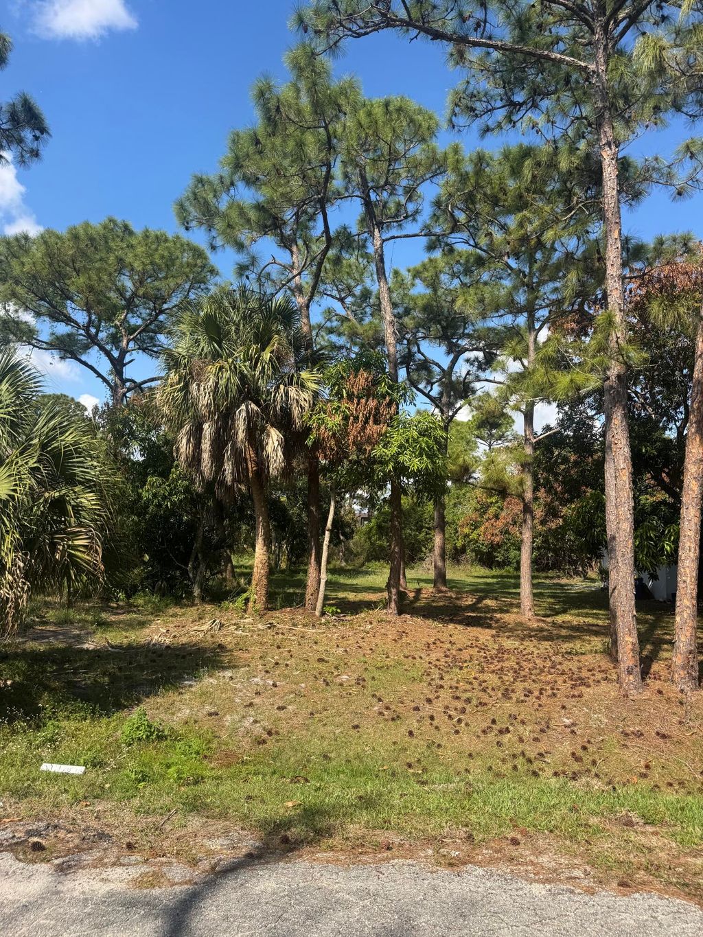 Photo of 5866 SE Wesley Avenue, Stuart, FL 34997 (MLS # B26007422)