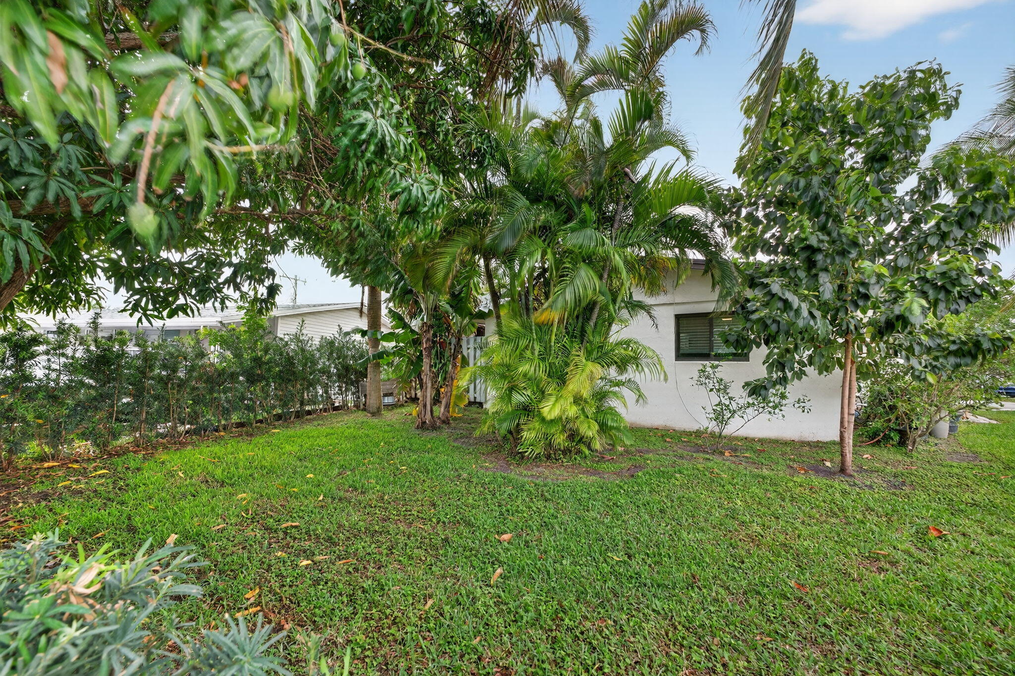 PARK RIDGE - Residential