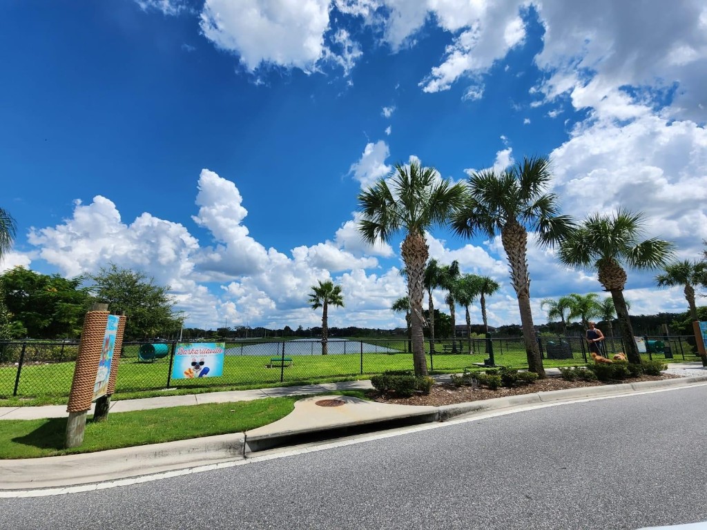 MargaritaVille - Residential