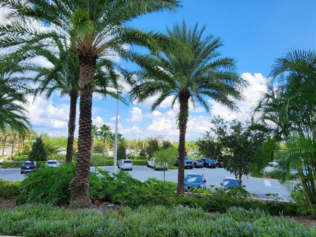 MargaritaVille - Residential