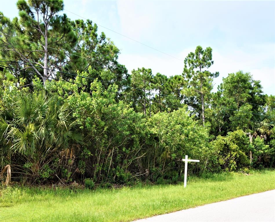Nice lot in NW Port Saint Lucie, located minutes to major retail shopping, restaurants, and entertainment. New construction throughout the Torino area. Buy and build or hold for investment.