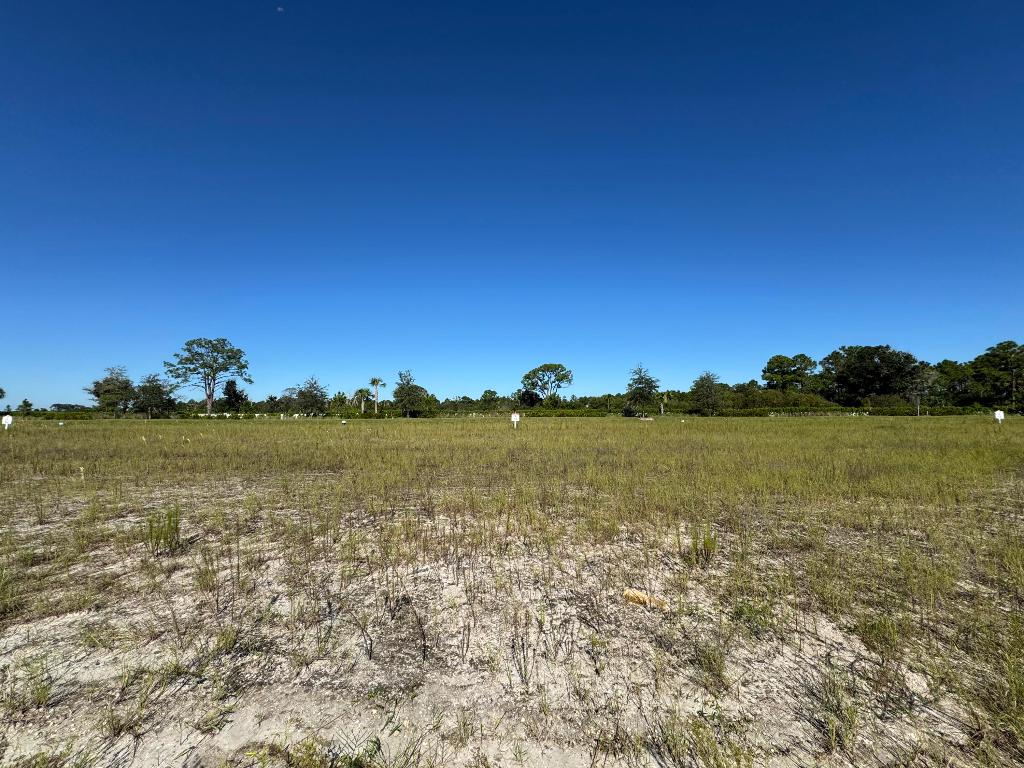 PANTHER NATIONAL AT AVENIR POD - Land