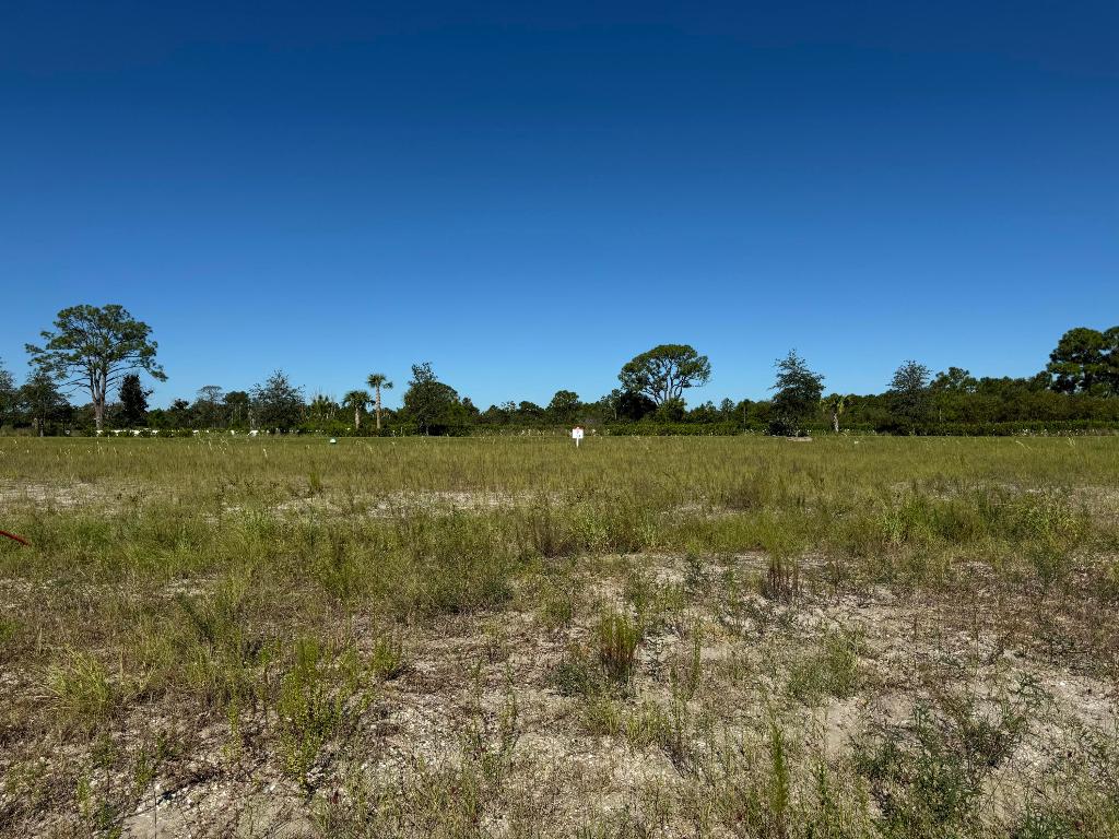 PANTHER NATIONAL AT AVENIR POD - Land