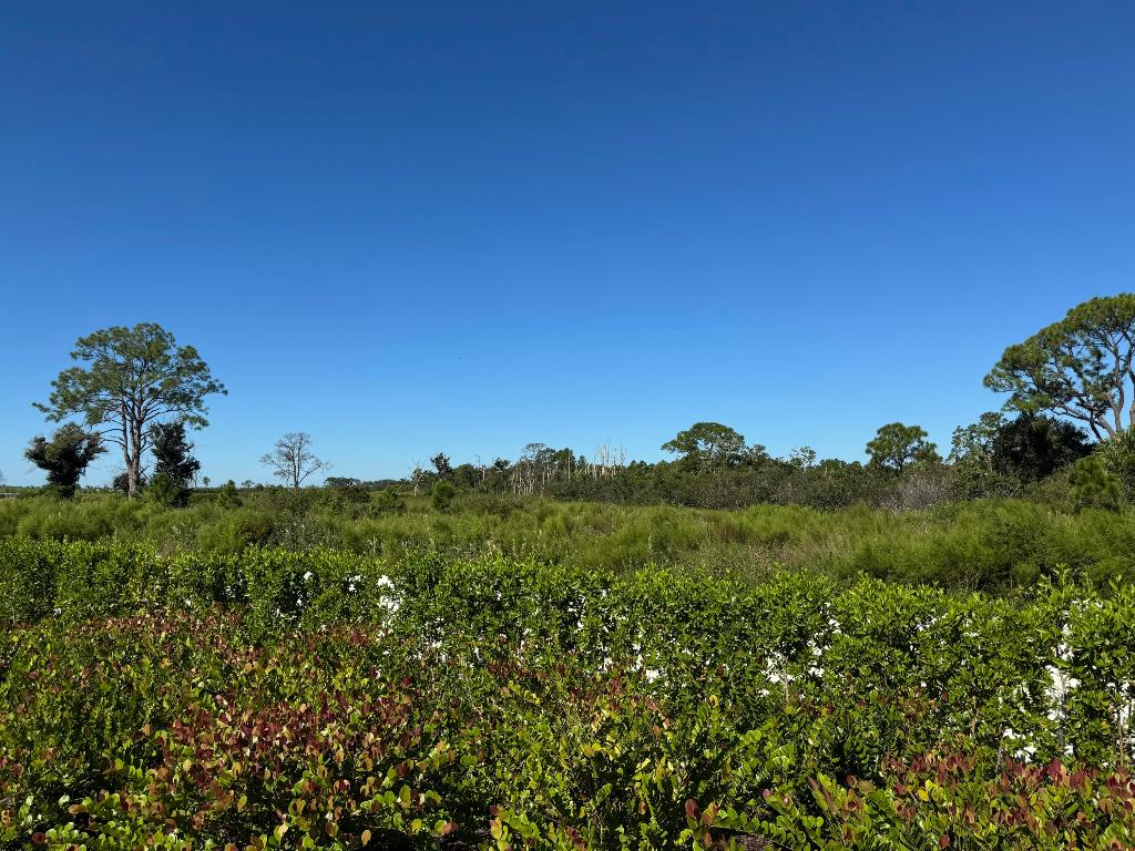 PANTHER NATIONAL AT AVENIR POD - Land