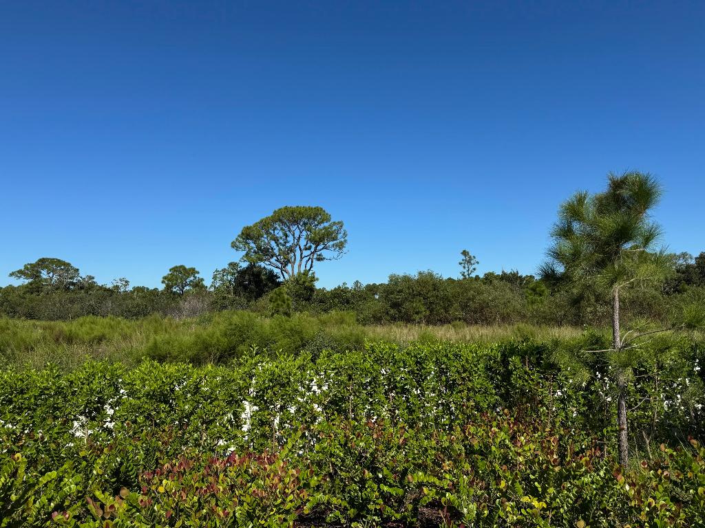 PANTHER NATIONAL AT AVENIR POD - Land