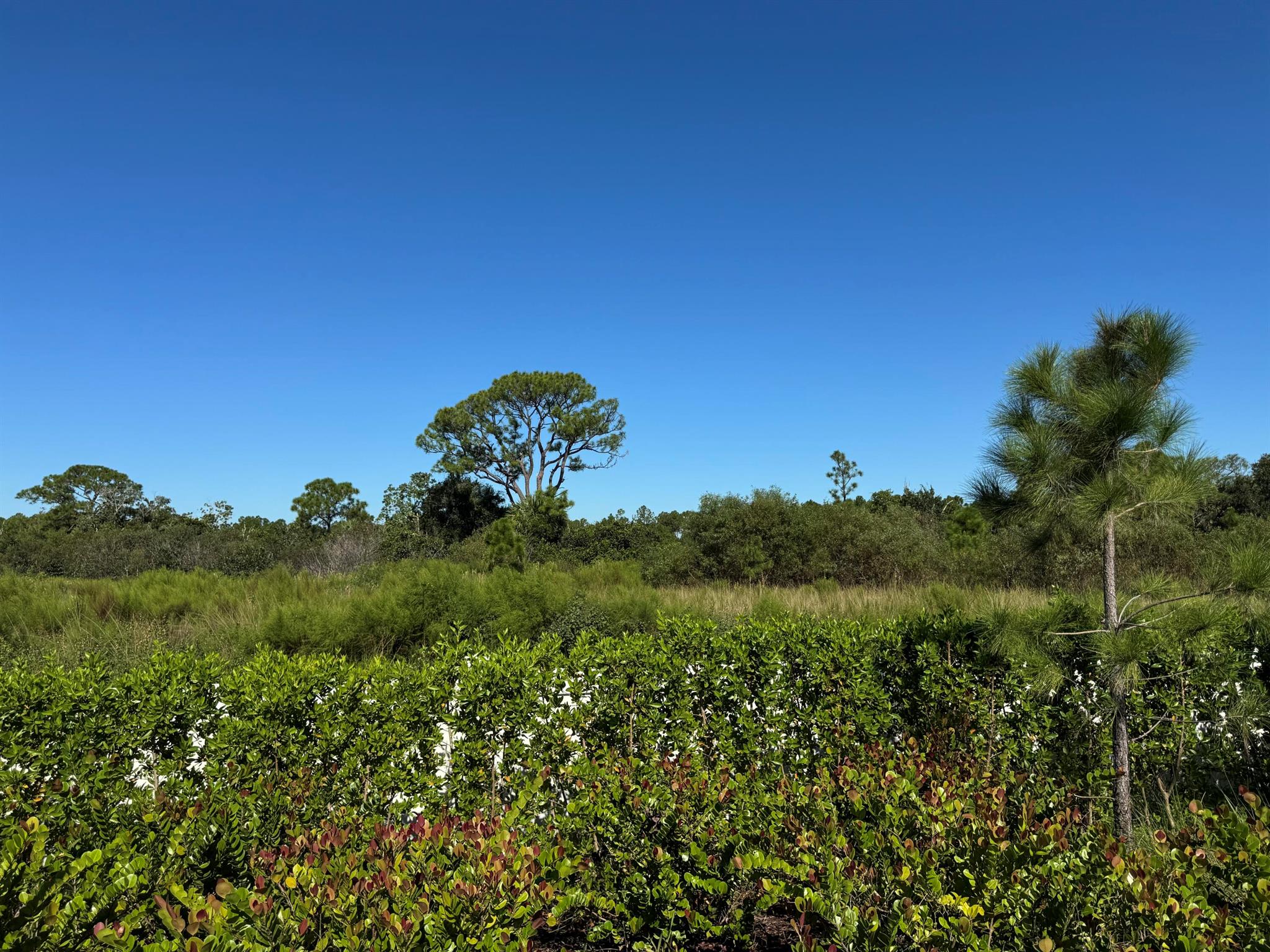 PANTHER NATIONAL AT AVENI - Land
