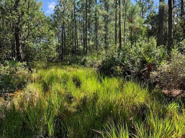 Opp28 Orlando Pines - Land