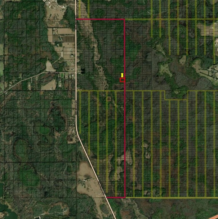 Opp28 Orlando Pines - Land