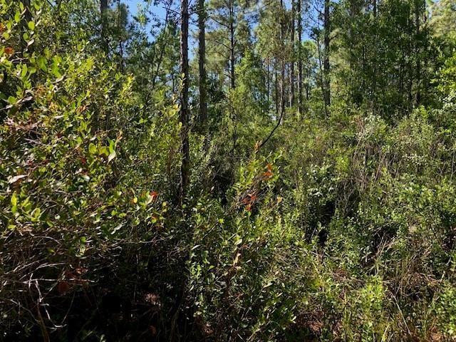 Opp28 Orlando Pines - Land