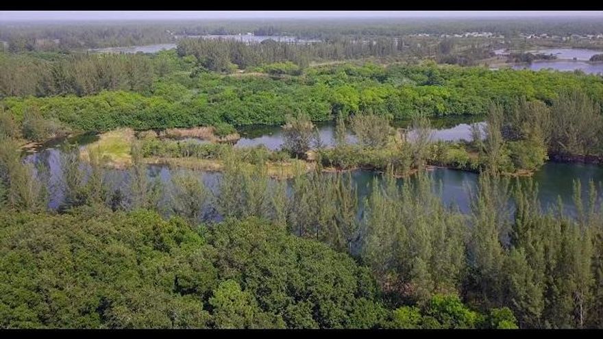 Rare opportunity to own an entire SECTION - Section 10 of Lehigh Acres - 1 square mile - 625 acres in total - previously approved for a CDD by Lee County for 1,750 homes plus 280,000 s.f. commercial/retail, plus 80,000 s.f. office space. Includes 20 acres zoned commercial on Joel Blvd. You are not required to build homes on this parcel - other possible uses include water bottling plant, equestrian preserve, nursery/tree farm, RV and adventure park, recreational preserve, training grounds for law enforcement, wildlife preserve, or whatever you can imagine as long as the County approves it. Ask your agent for additional parcel info and for the website about this special and unique property. Opportunities like this do not come very often and maybe never again!