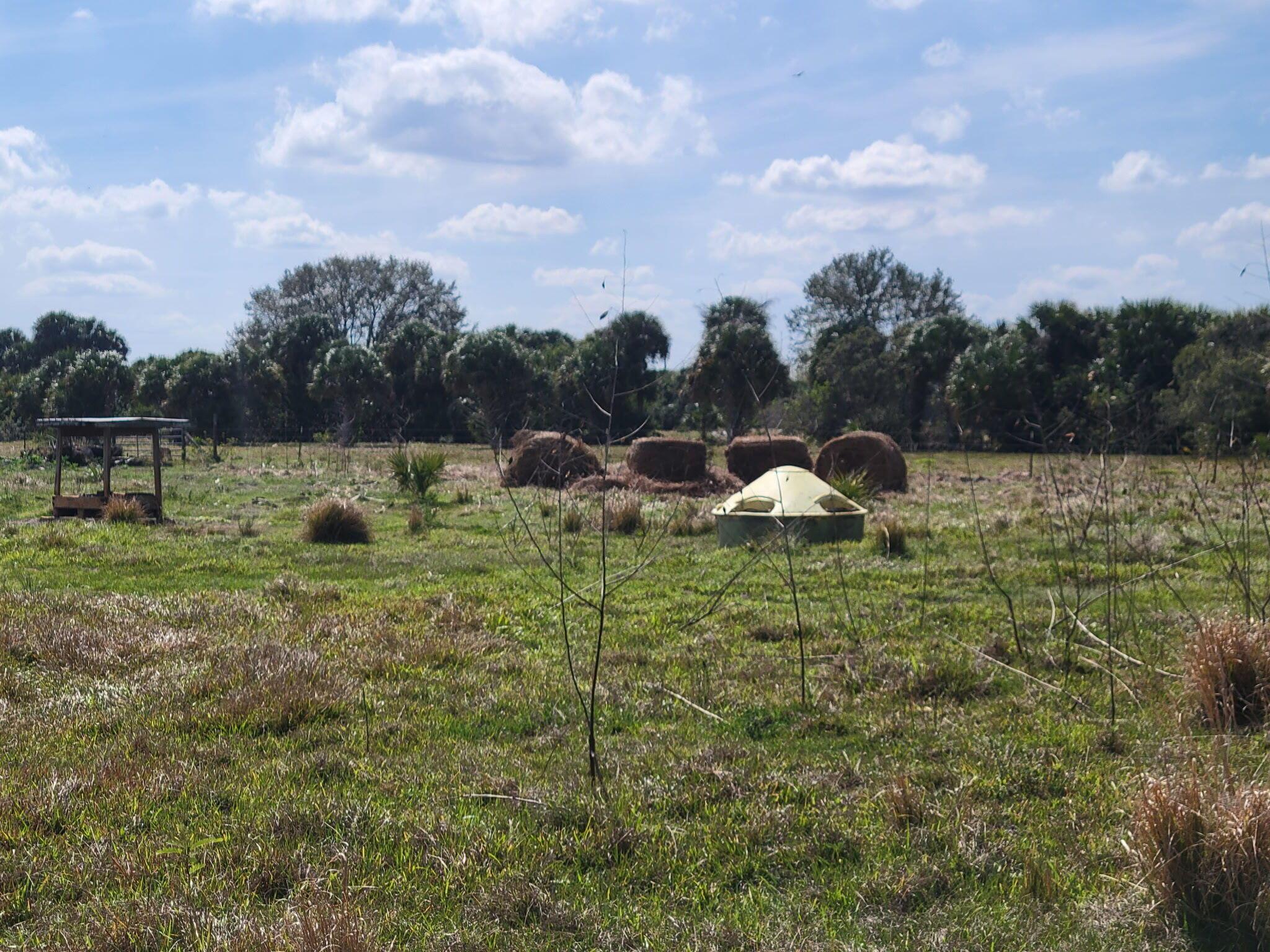 CABBAGE WOODS RANCHES - Land