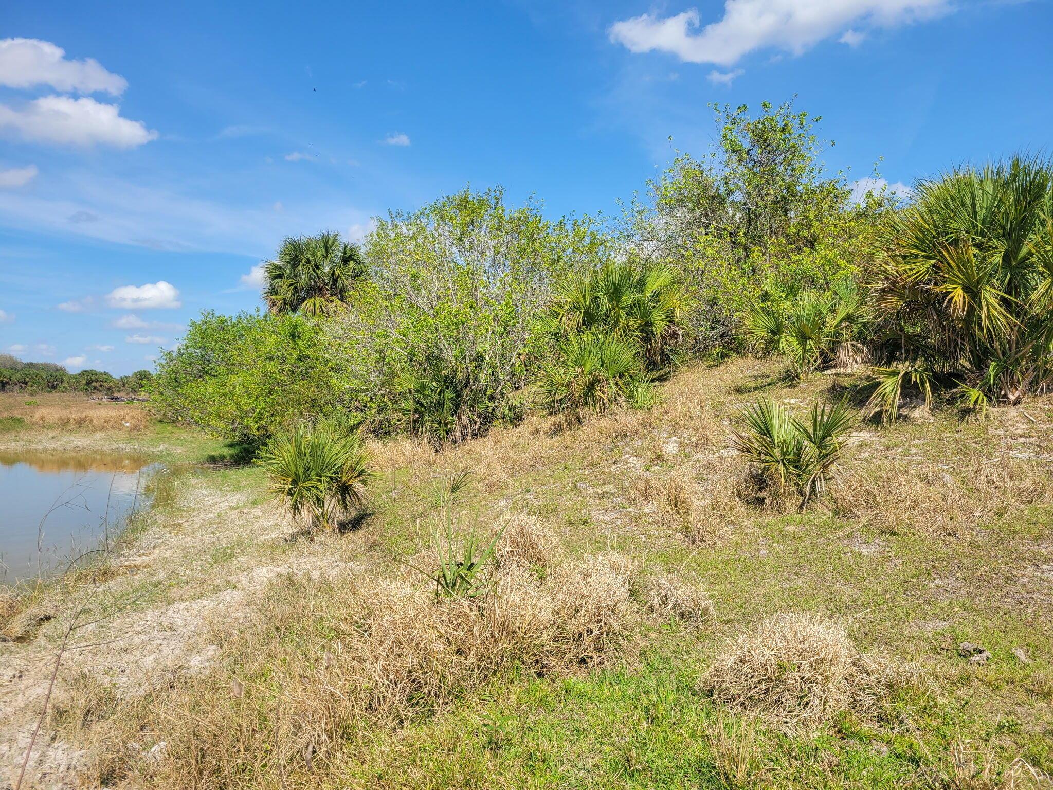 CABBAGE WOODS RANCHES - Land