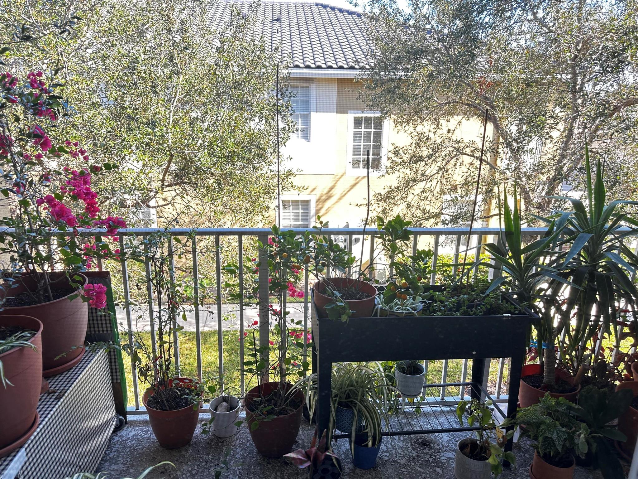 LEXINGTON LAKES - Residential