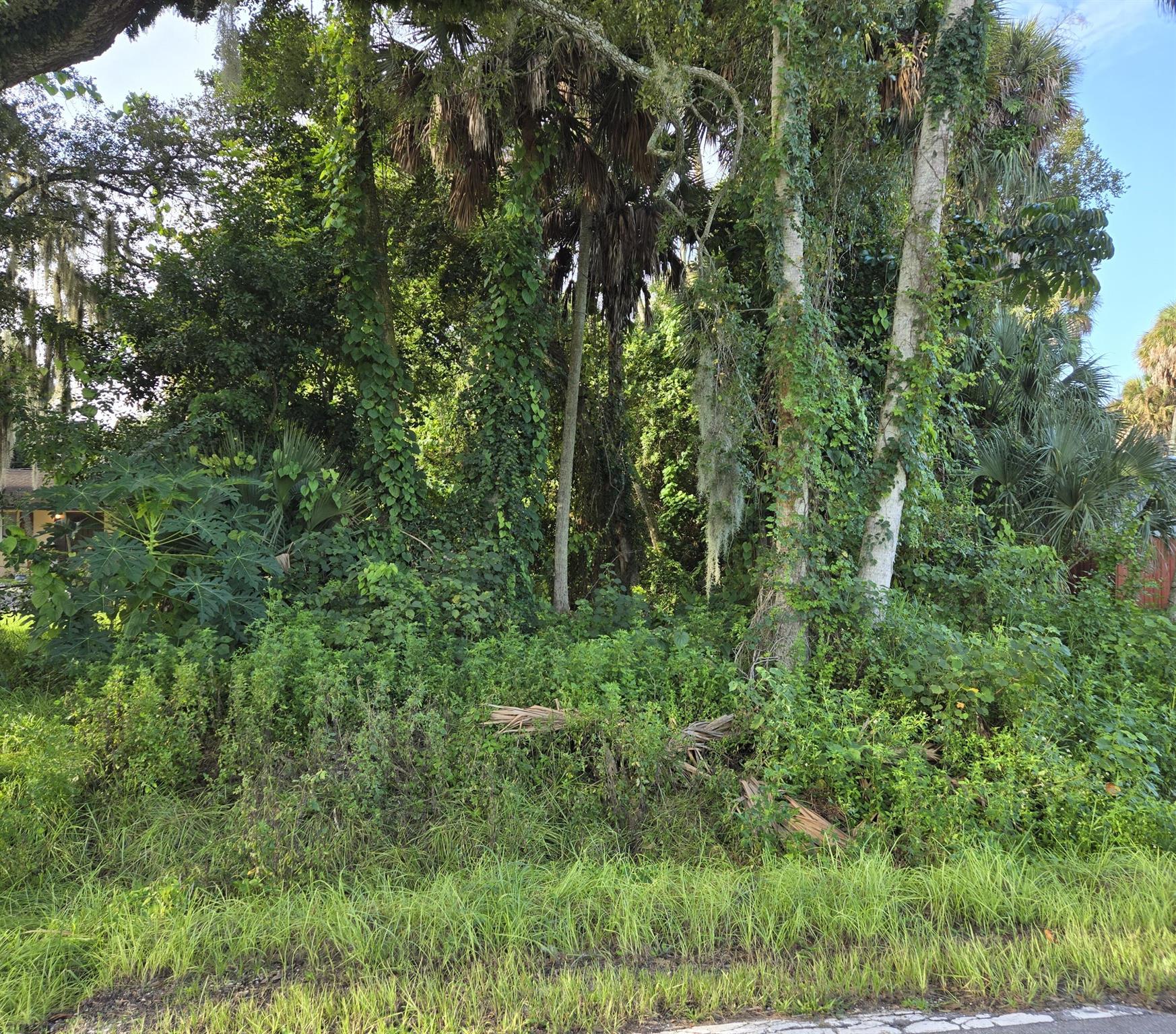 OAK PARK - Vacant Land ready to build your dream home. Just under 1/2 an acre. Great family neighborhood in excellent school zone. Property is wooded.