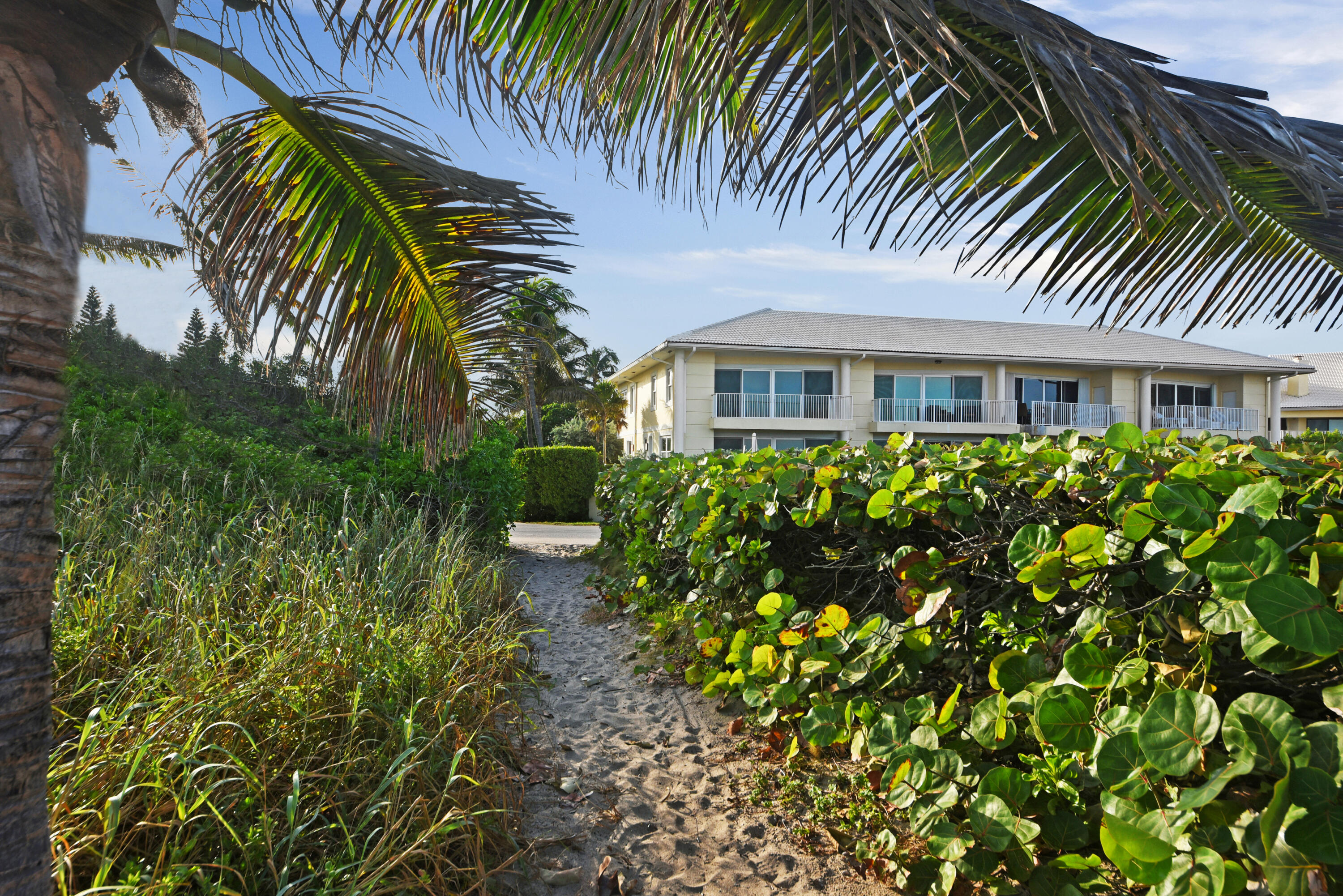 TURTLE BEACH CONDO - Residential Lease