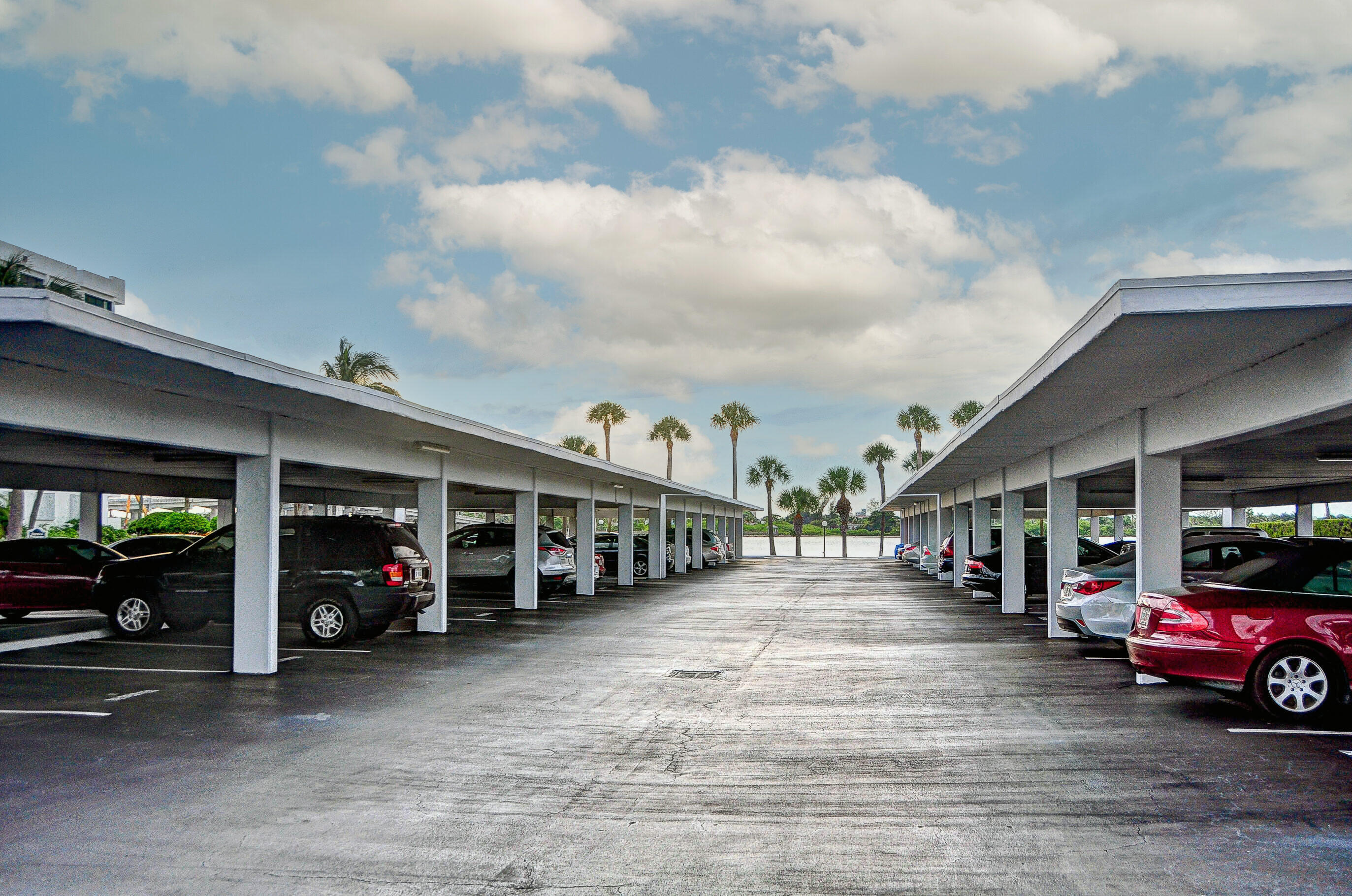 LA PALMA CONDO - Residential Lease