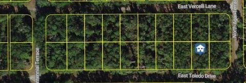 1107 Toledo Drive Citrus Springs FL 34434