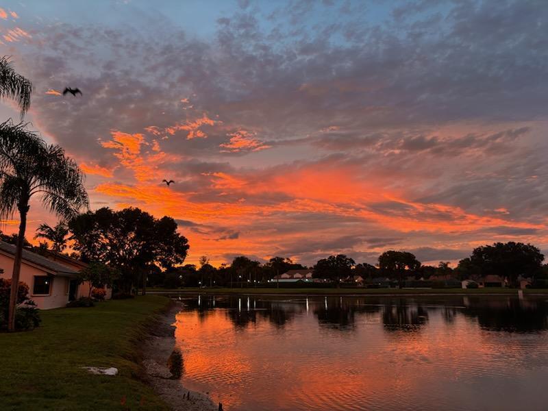 PALM SHORES WINDWARD - Residential