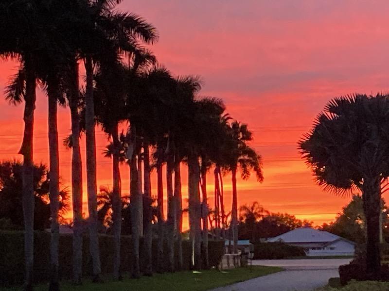 PALM SHORES WINDWARD - Residential