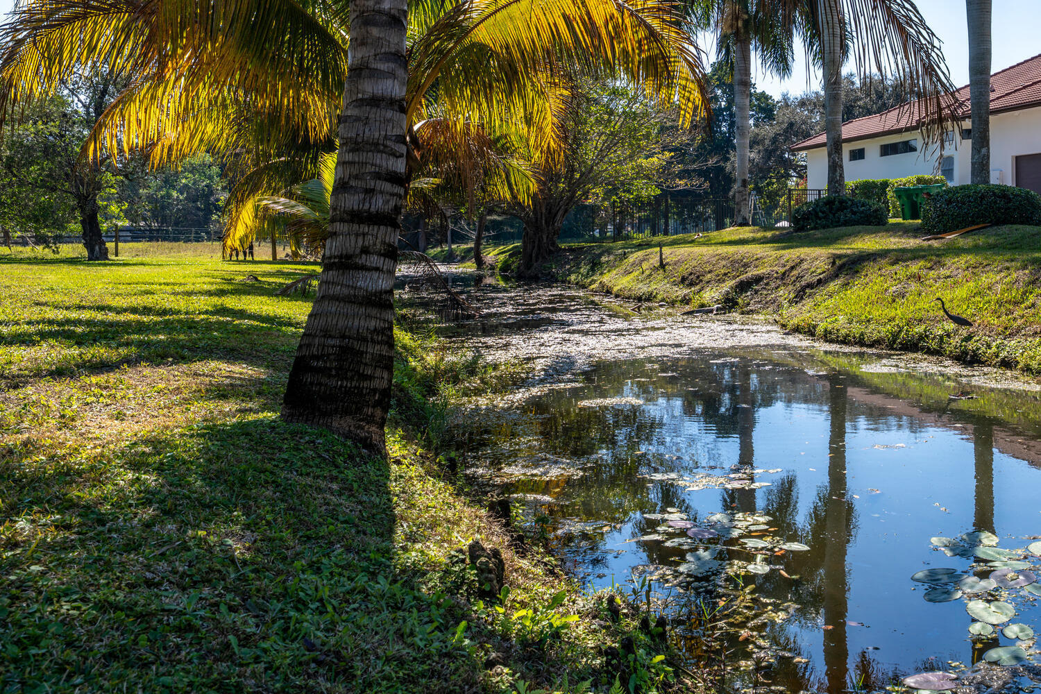 FLA FRUIT LANDS CO - Residential