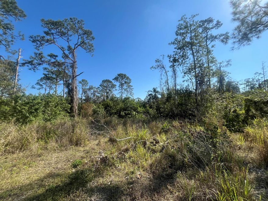 Do not miss out on this 0.23-acre vacant lot in Sebring Hills Community. Beautiful new homes in the area waiting for you and your family to build your home or bring your modular home. Enjoy proximity to a premier golf course, parks, lakes, and recreational areas. Grocery stores and shops are just minutes away. Don't miss the chance to secure this exceptional lot and create your dream home! This lot is listed below market value. Buying Land in Florida is a solid investment for your future, build your dream home, vacation home, rental investment or let the land build value as a great long-term investment to resell for a future profit.