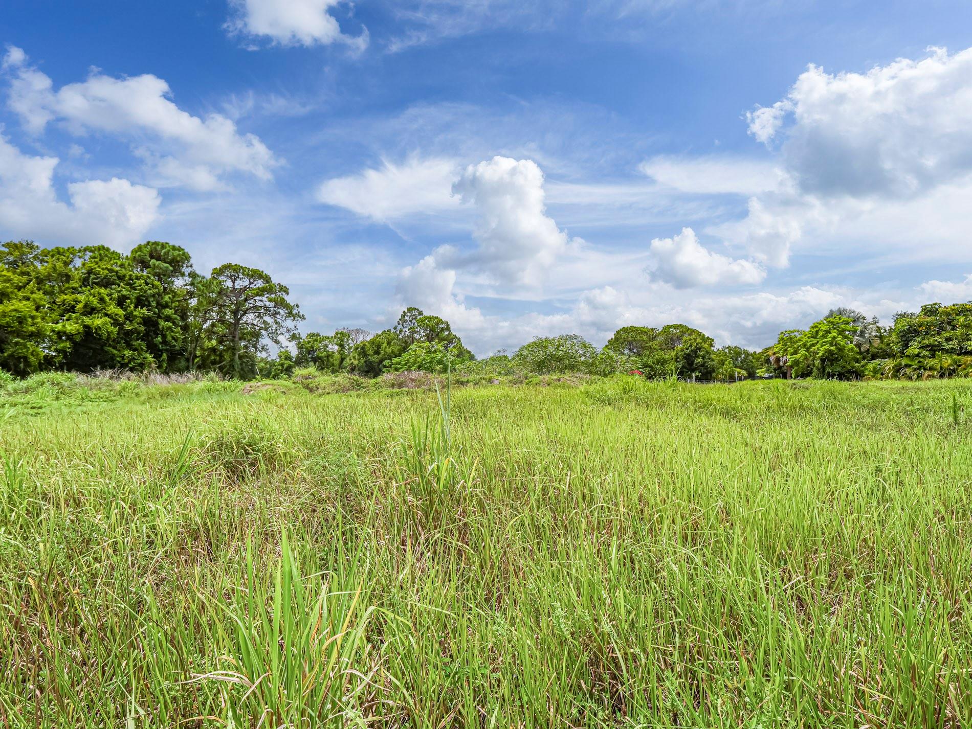 Crystal Sands Unit II - Land