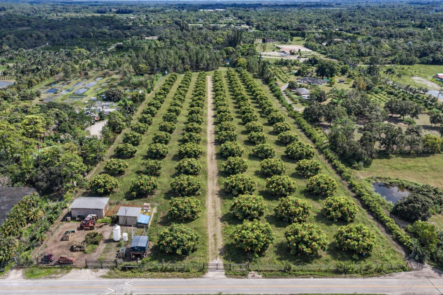 LOXAHATCHEE GROVES - Land