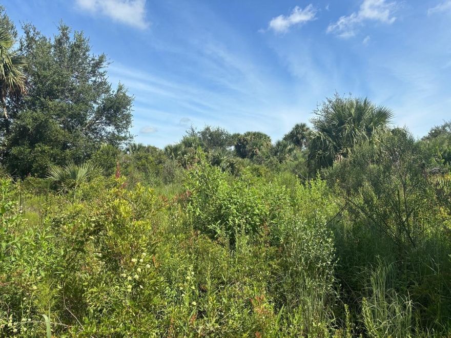 Double lot in Viking Estates. Close to the Kissimmee Prairie State Park. Bring your 4 -wheelers. This property is not only ideal for recreational uses such has camping, hunting and shooting, but it’s agricultural as well.Owner financing available