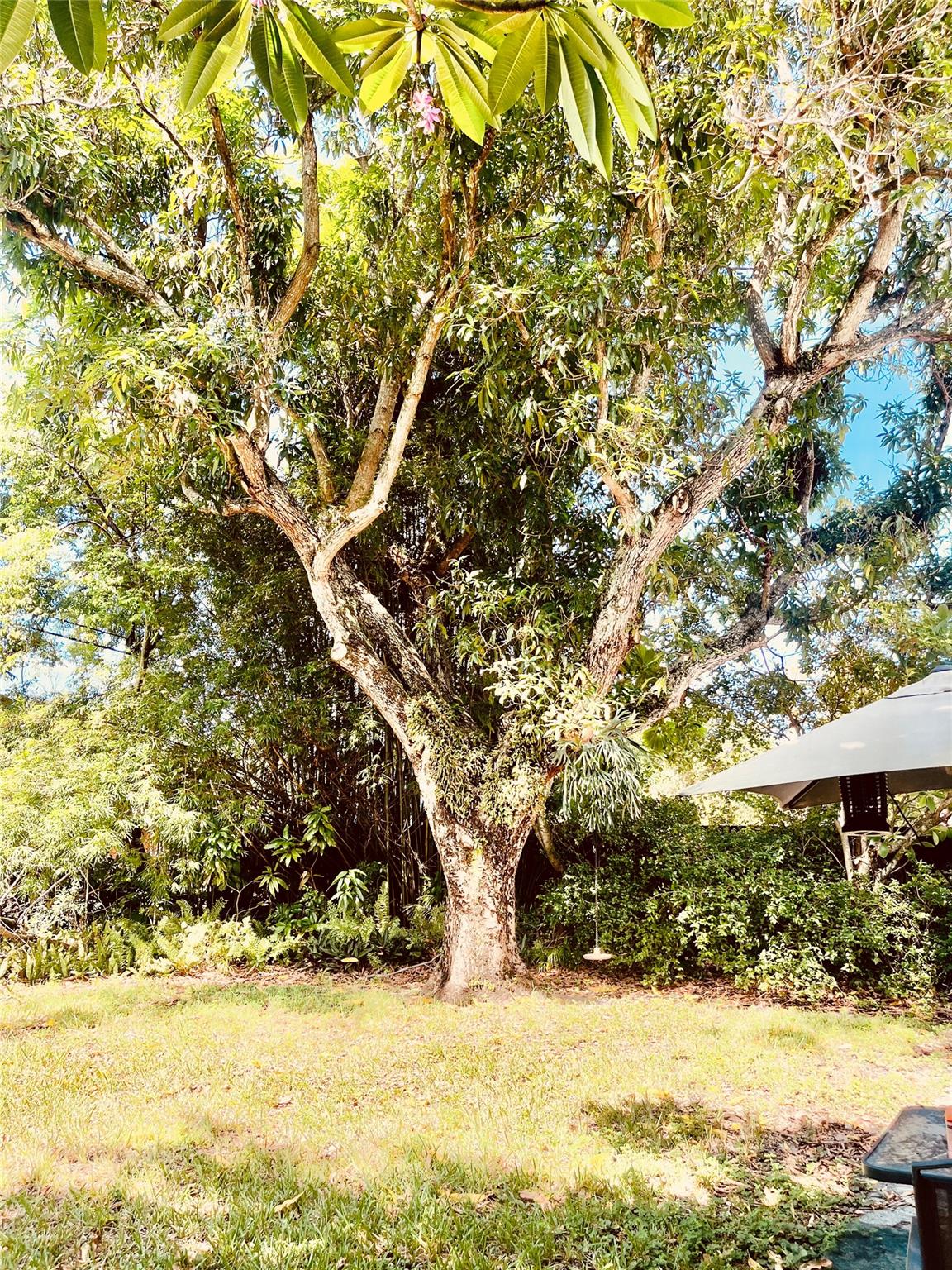 Breezeswept Park Estates - Residential