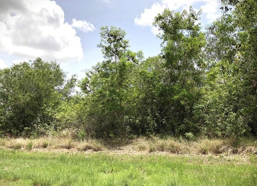 Fantastic lot just south of Becker Rd. & within minutes of I-95 and Tradition shopping & dining. Great opportunity to build your dream home on this beautiful quarter acre parcel in Port St. Lucie. Don't miss your opportunity to call this one you home!