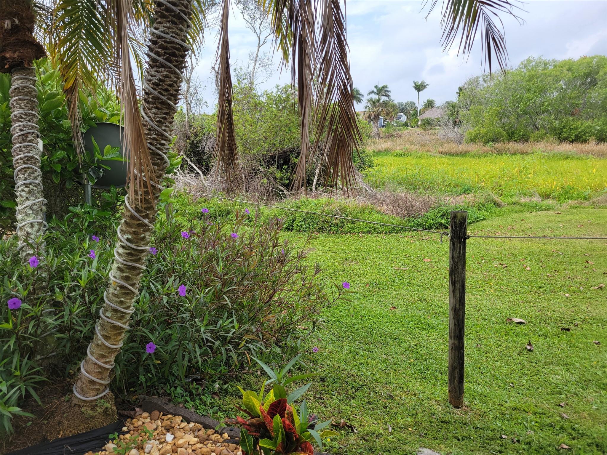 Silver Palms Rv Village Resort - Land