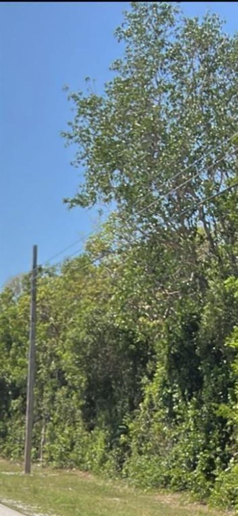 Card Ound Road Homestead FL 33035