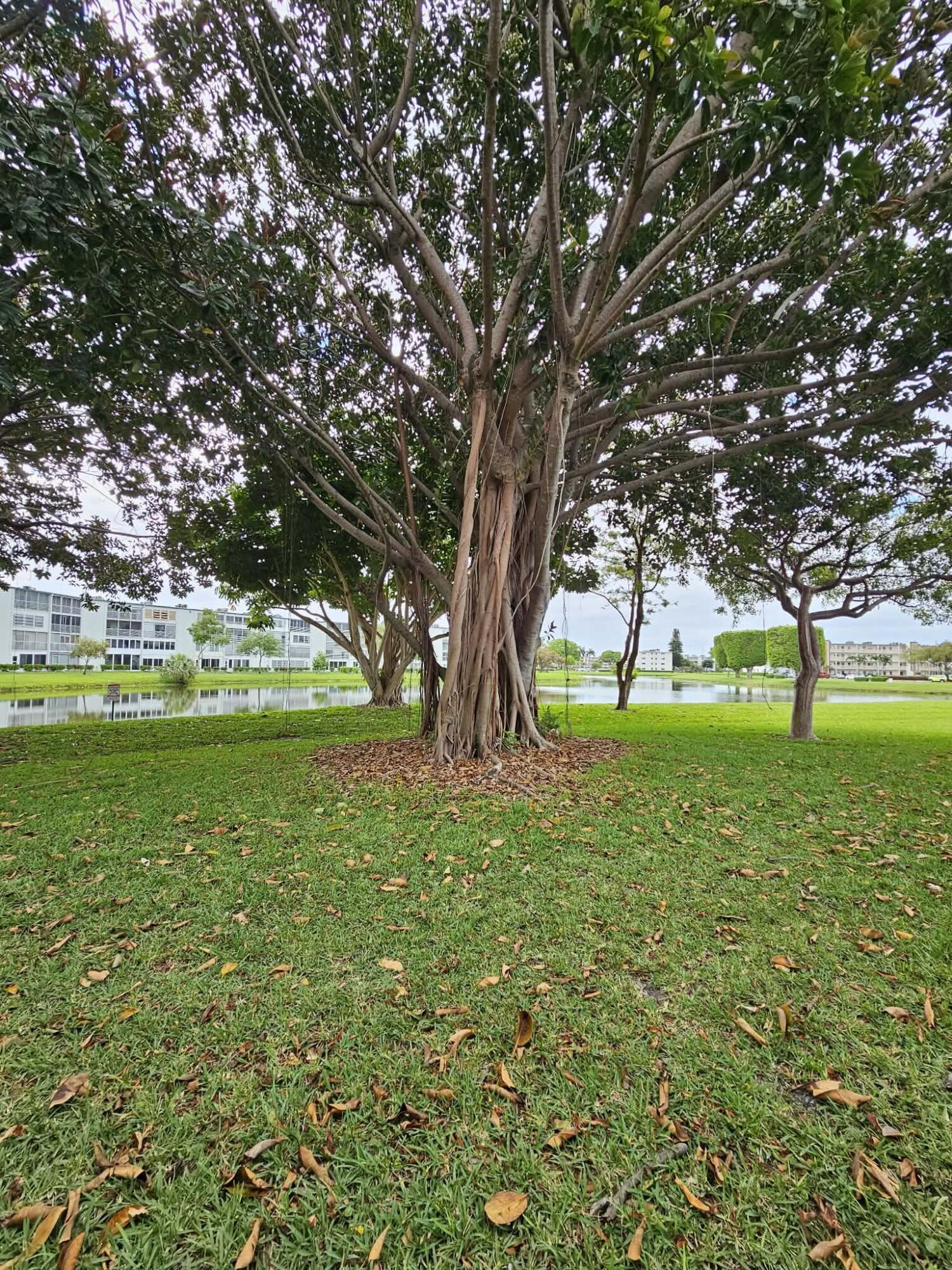 NEWCASTLE AT CENTURY VILLAGE CONDO - Residential