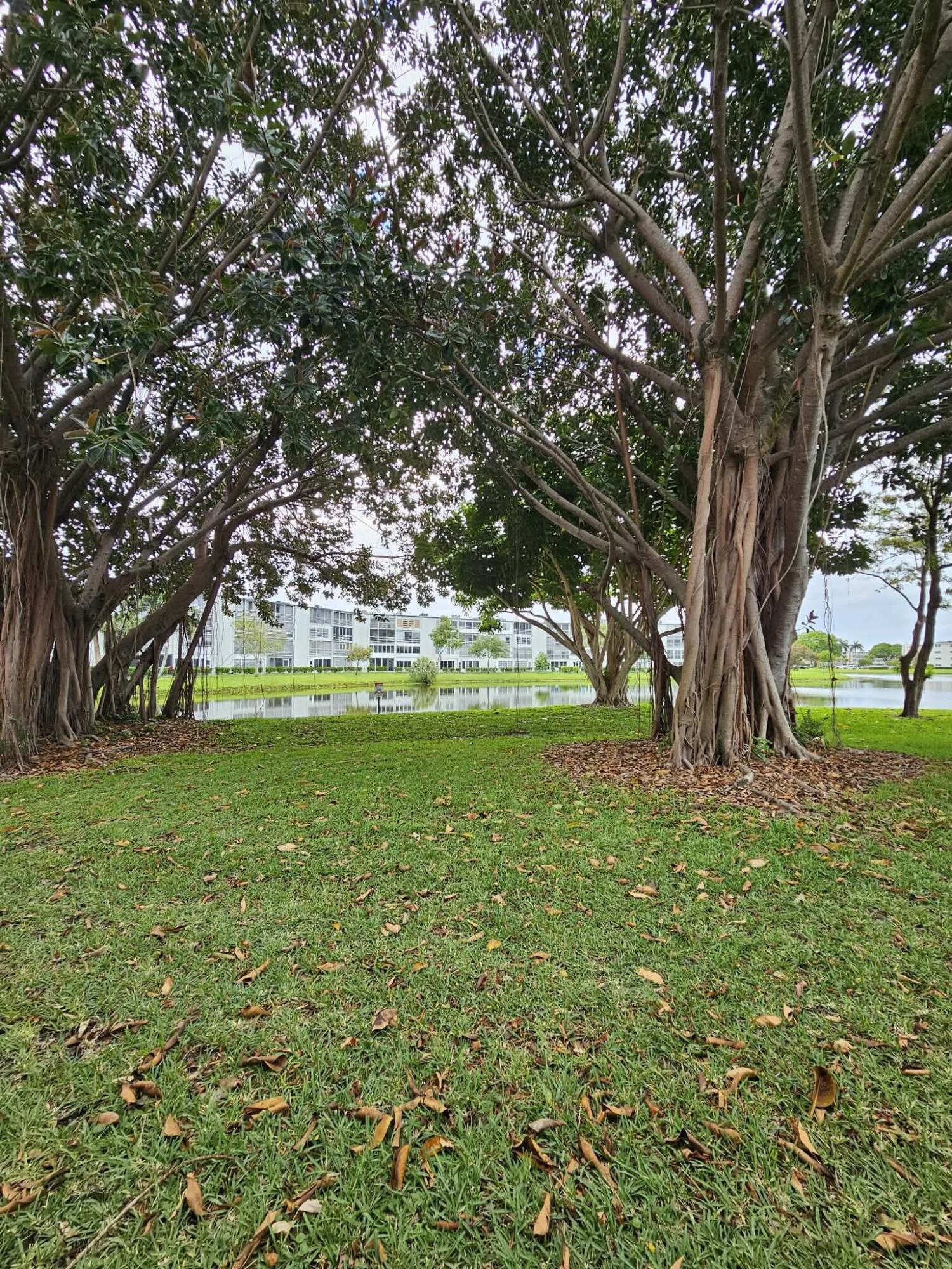 NEWCASTLE AT CENTURY VILLAGE CONDO - Residential