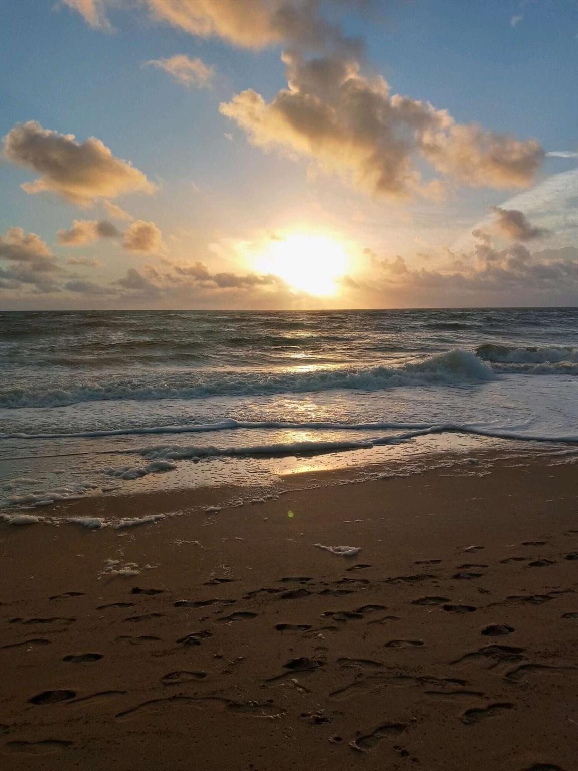 Shoreline - Residential