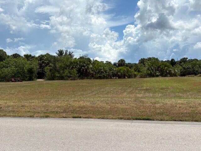 Polo Grounds Pt West - Land