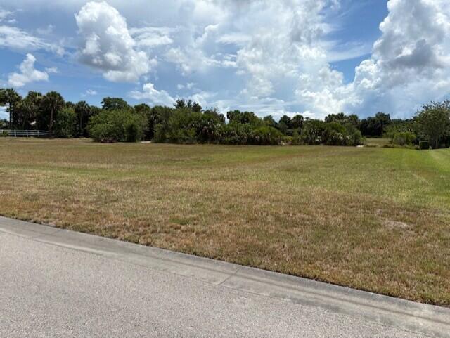 Polo Grounds Pt West - Land