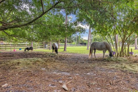 A home in Loxahatchee Groves