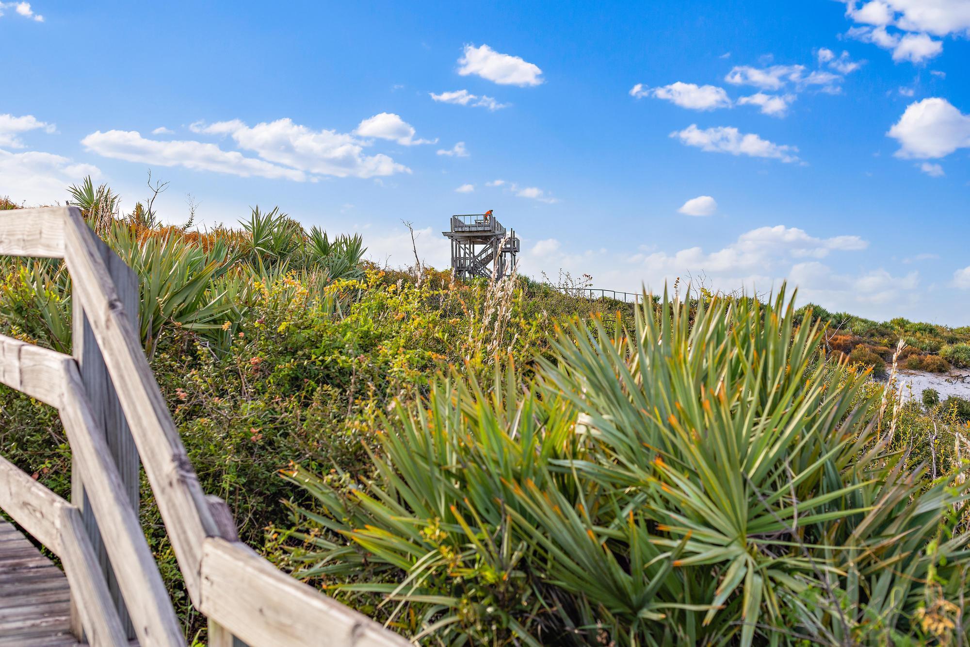 PAPAYA VILLAGE - Residential