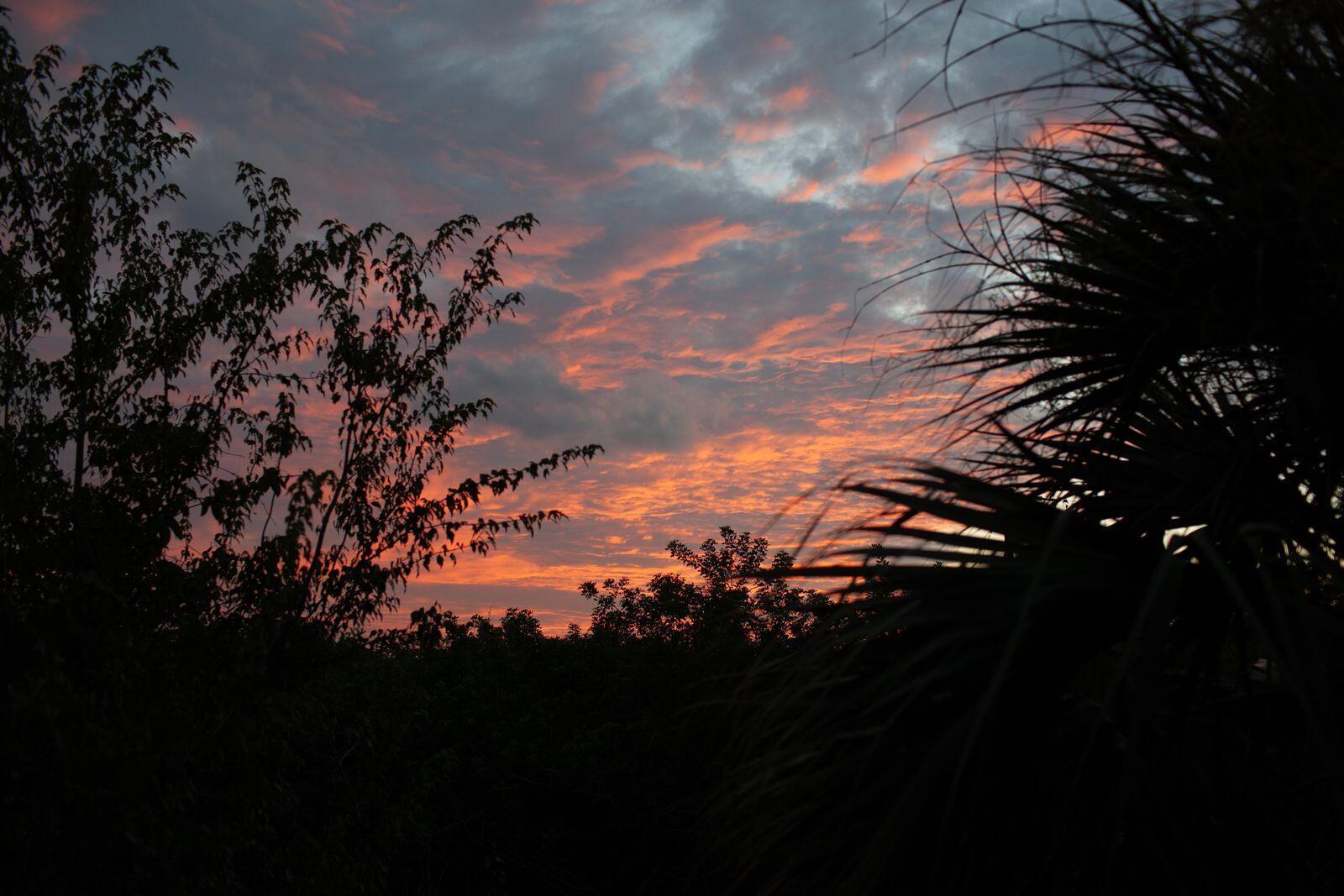 PAPAYA VILLAGE - Residential