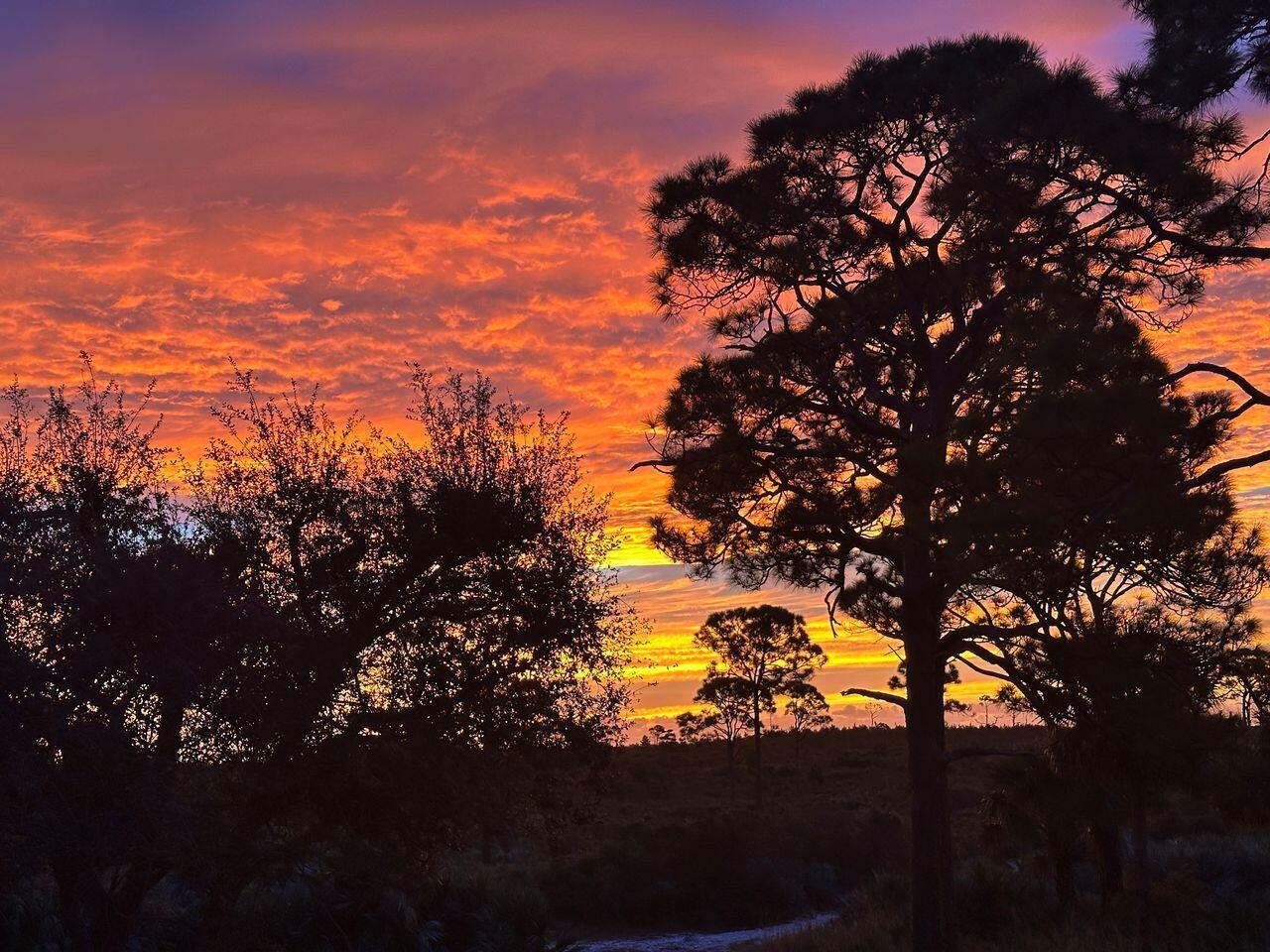 PAPAYA VILLAGE - Residential