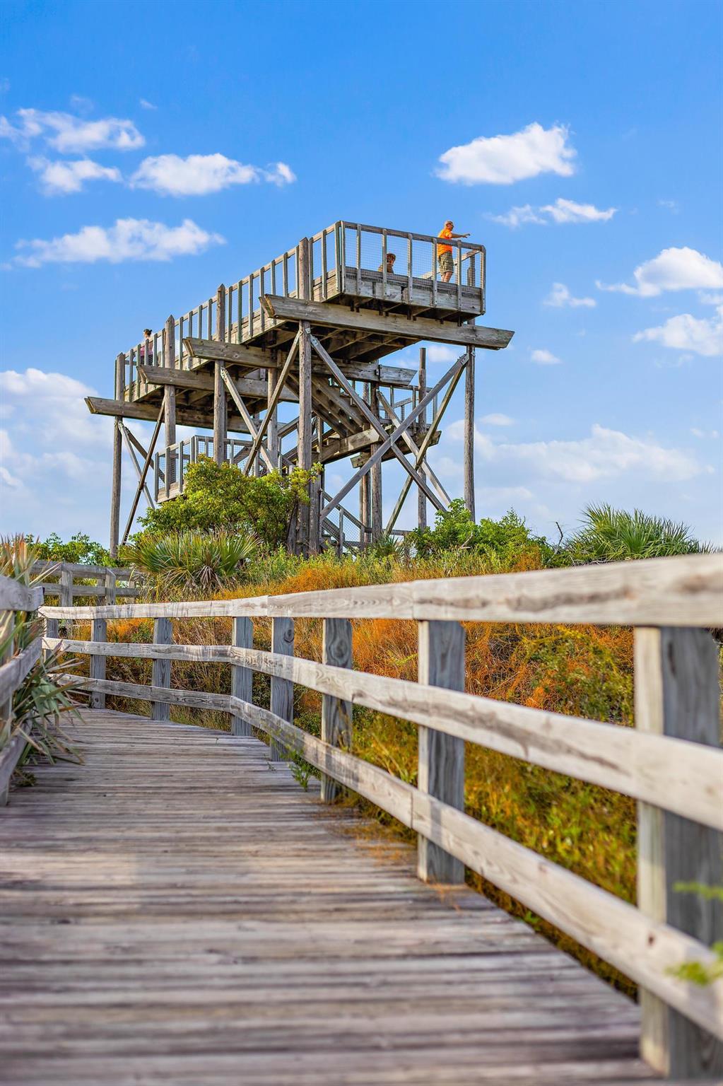 PAPAYA VILLAGE - Residential