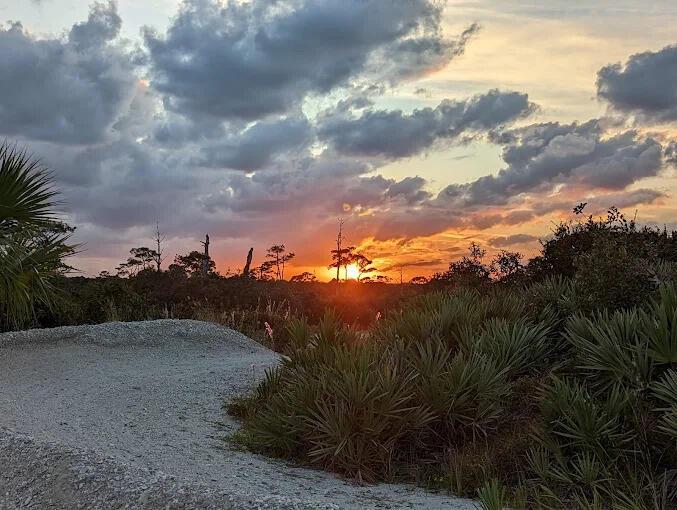 PAPAYA VILLAGE - Residential