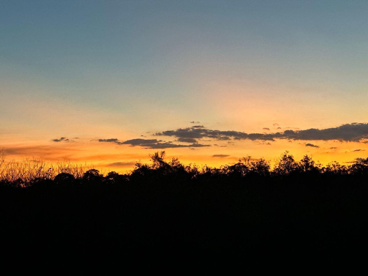 PAPAYA VILLAGE - Residential