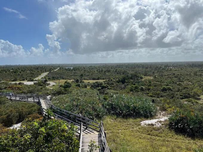 PAPAYA VILLAGE - Residential