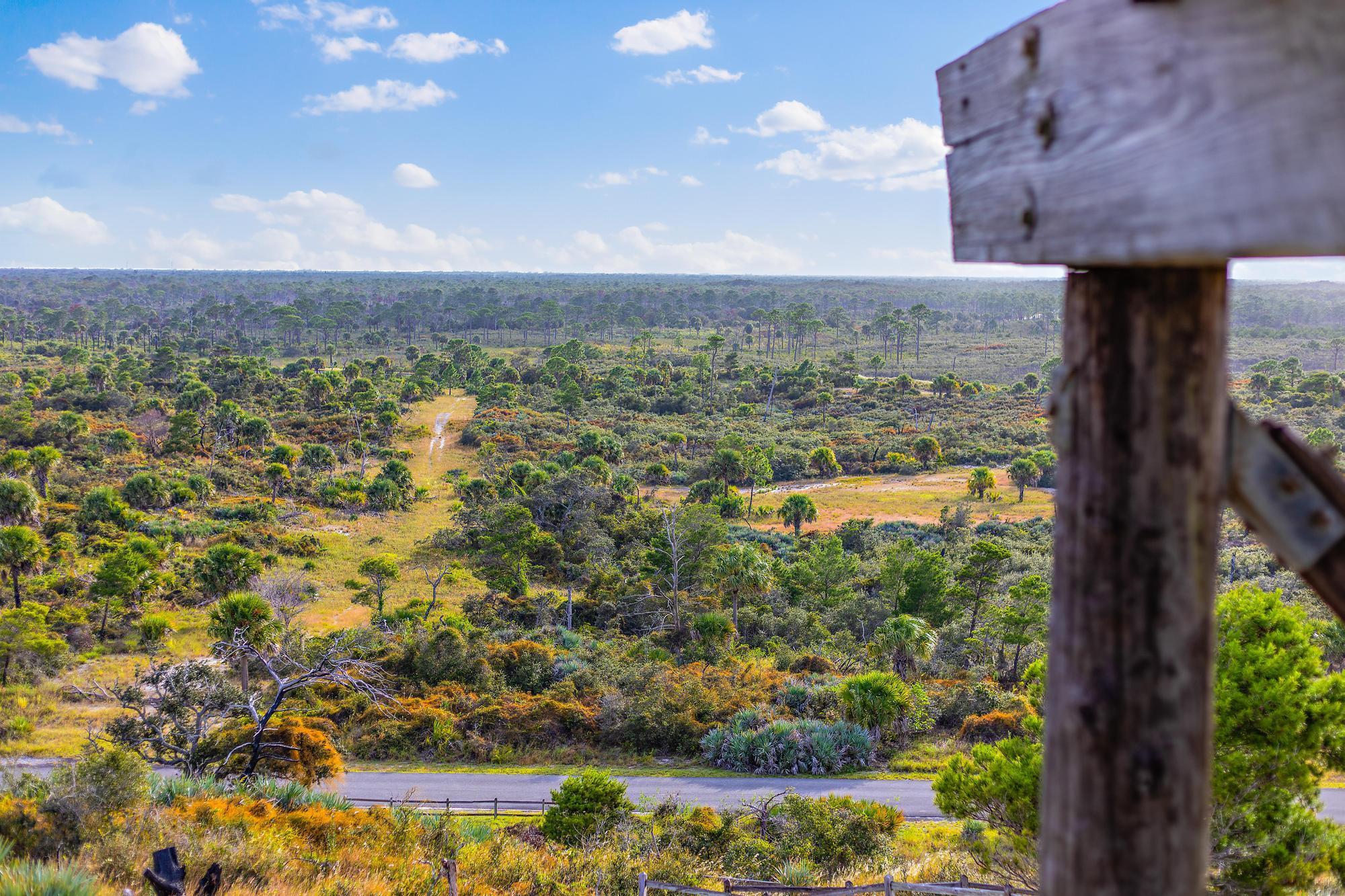 PAPAYA VILLAGE - Residential