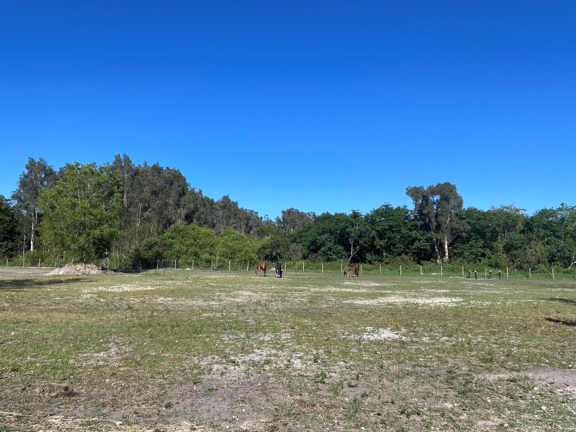 Loxahatchee - Land