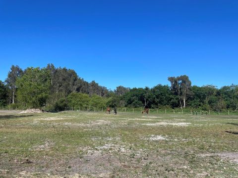 12398 Tangerine Boulevard West Palm Beach FL 33412